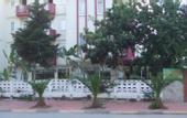 Туры в отель Polen Hotel