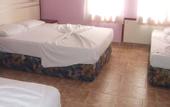 Туры в отель Polen Hotel