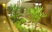 Туры в отель Pontalmar Praia