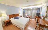 Туры в отель Poseidon Palace