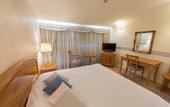 Туры в отель Poseidon Palace