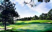 Туры в отель Praia D'El Rey Marriott Golf & Beach Resort