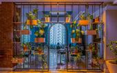 Туры в отель Rixos Sharm El Sheikh Adults Friendly (18+)
