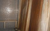 Туры в отель President Hotel Terme
