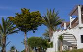 Туры в отель Latchi Family Resort