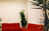 Туры в отель New Primula