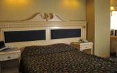 Туры в отель Ankara Princess Hotel