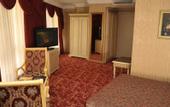 Туры в отель Ankara Princess Hotel