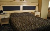 Туры в отель Ankara Princess Hotel