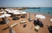Туры в отель Princess Palace Hotel & Club