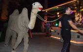 Туры в отель Hotel Privat