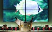 Туры в отель Pullman Cannes Mandelieu Royal Casino
