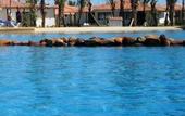 Туры в отель Punta Blanca Ocean Club