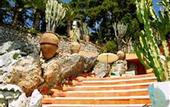 Туры в отель Punta Tragara