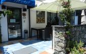 Туры в отель Hotel Punta Mesco