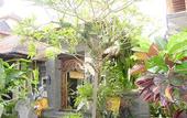 Туры в отель Putu Bali Villa & Spa
