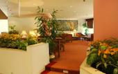 Туры в отель Pyramids Park Resort Cairo