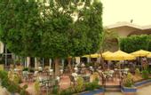 Туры в отель Pyramids Park Resort Cairo