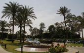 Туры в отель Pyramids Park Resort Cairo