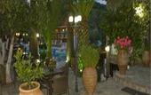 Туры в отель Pyrgos Hotel