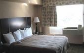 Туры в отель Quality Inn Downtown