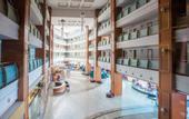 Туры в отель Transatlantik Hotel & Spa