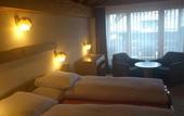 Туры в отель Artemis Hotel Saas-Fee