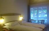 Туры в отель Artemis Hotel Saas-Fee