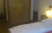Туры в отель Artemis Hotel Saas-Fee
