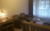 Туры в отель Artemis Hotel Saas-Fee