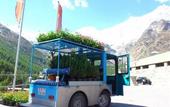 Туры в отель Artemis Hotel Saas-Fee