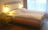 Туры в отель Artemis Hotel Saas-Fee