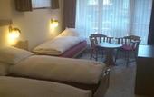 Туры в отель Artemis Hotel Saas-Fee