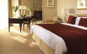 Туры в отель Radisson Blu Hotel Dubai Deira Creek