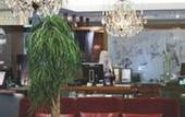 Туры в отель Radisson Blu Plaza