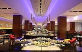 Туры в отель Radisson Blu Plaza Delhi Airport