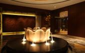 Туры в отель Radisson Blu Plaza Delhi Airport