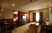 Туры в отель Radisson Blu Plaza Delhi Airport