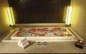 Туры в отель Radisson Blu Plaza Delhi Airport