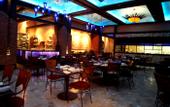 Туры в отель Radisson Blu Plaza Delhi Airport