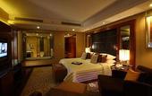Туры в отель Radisson Blu Plaza Delhi Airport