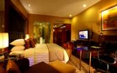 Туры в отель Radisson Blu Plaza Delhi Airport