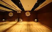 Туры в отель Radisson Blu Plaza Delhi Airport