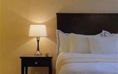 Туры в отель Radisson Plaza Warwick