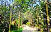 Туры в отель Railay Bay Resort & Spa