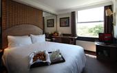 Туры в отель Ramada Ealing