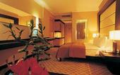 Туры в отель Ramada Plaza Istanbul City Center