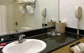 Туры в отель Ramada Plaza San Francisco