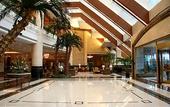 Туры в отель Ramada Pudong Airport