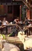 Туры в отель Rambuttri Village Plaza